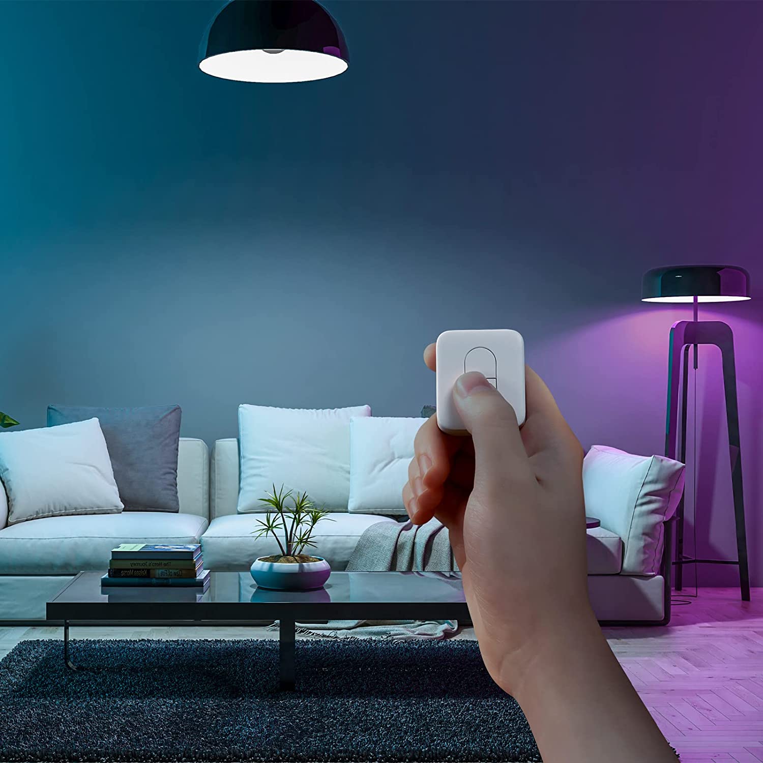 Loofae Remote