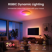 Loofae RGBICWW Ceiling Light 15inch