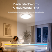 Loofae RGBICWW Ceiling Light 15inch