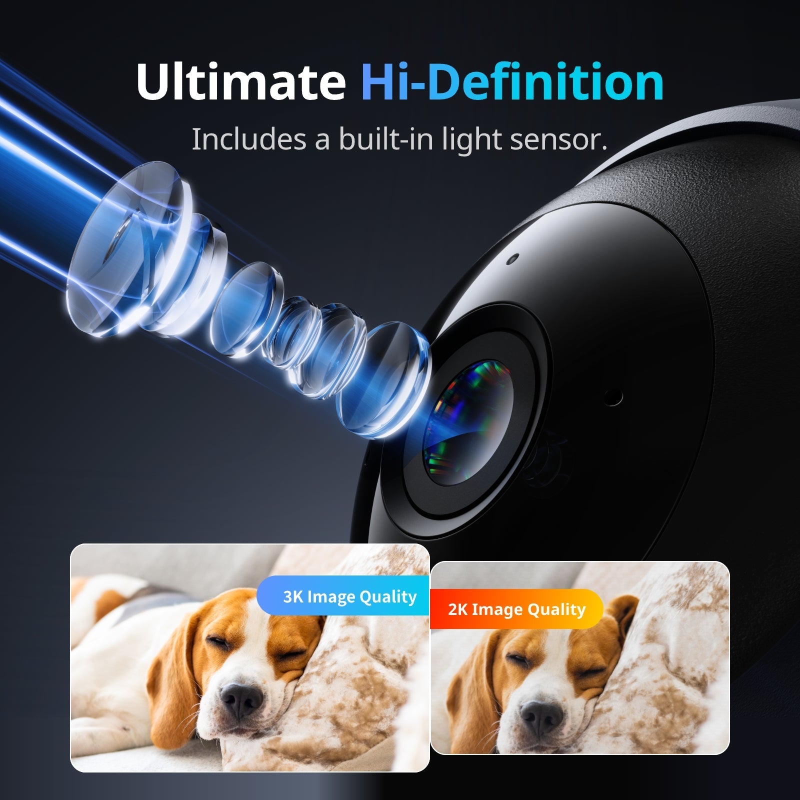 Loofae Pan/Tilt Cam Plus 3K